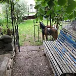 شقة Na Namesti - *